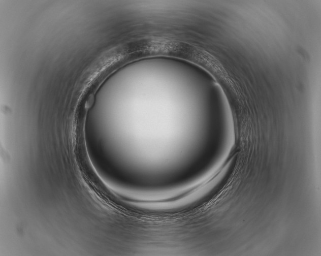 X0000090930722200708061602