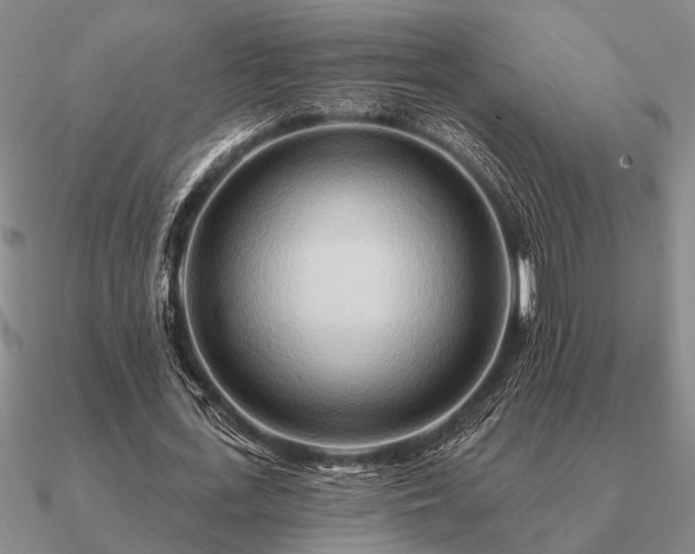 X0000090930723200708061602