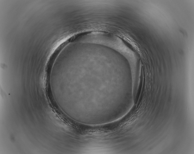 X0000090930724200708061602