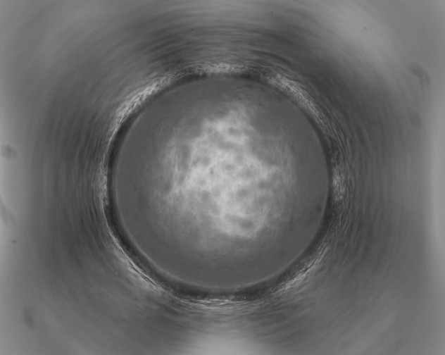 X0000090930725200708061602