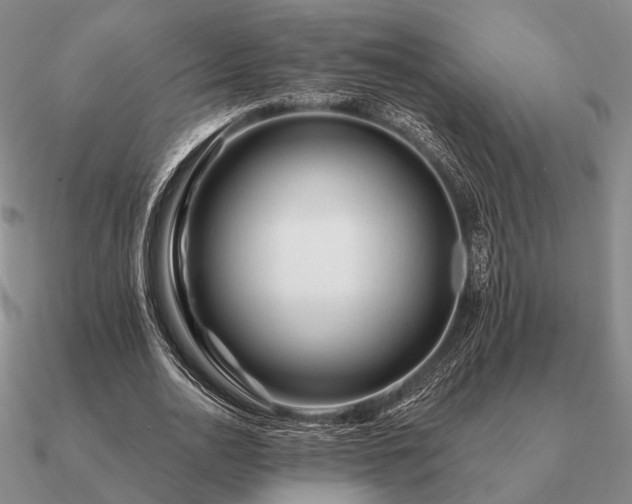 X0000090930726200708061602