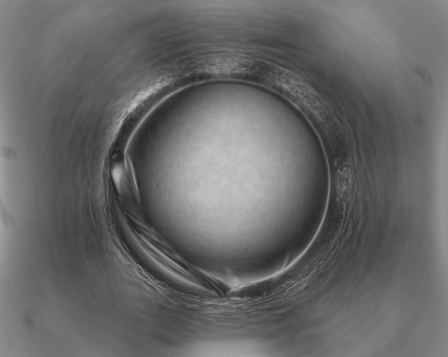 X0000090930727200708061602