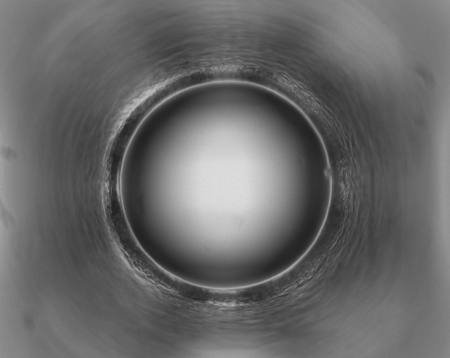 X0000090930728200708061602