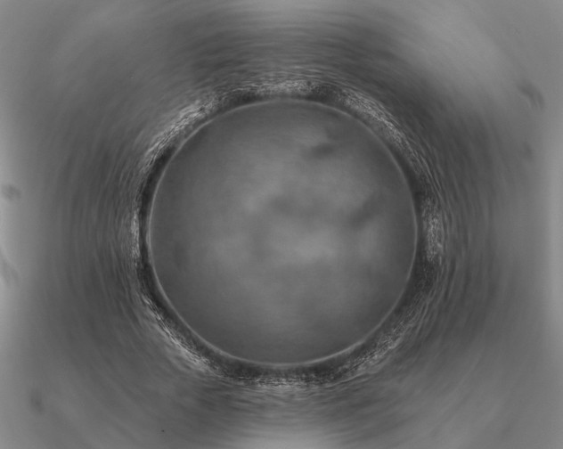 X0000090930729200708061602