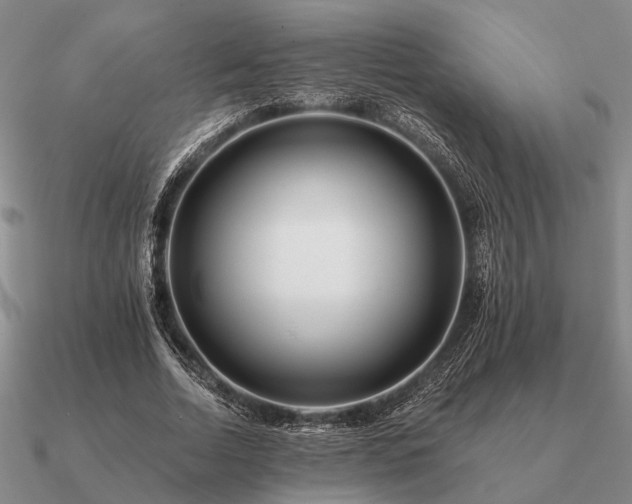 X0000090930730200708061602