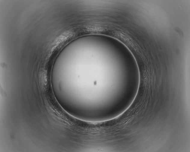 X0000090930731200708061602