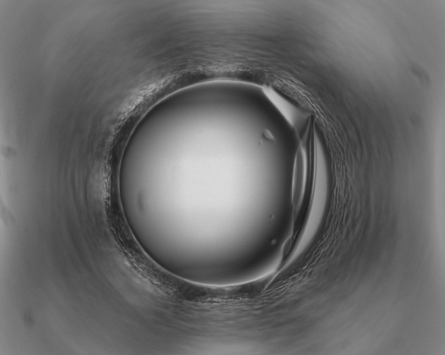 X0000090930732200708061602