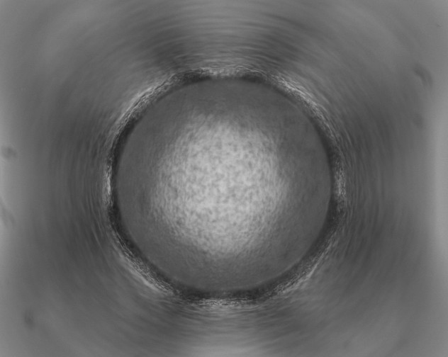 X0000090930733200708061602