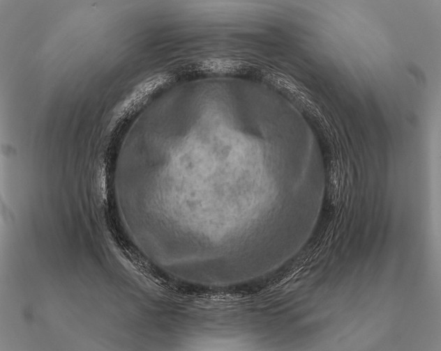 X0000090930734200708061602