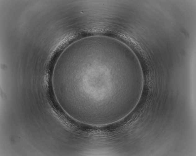 X0000090930735200708061602