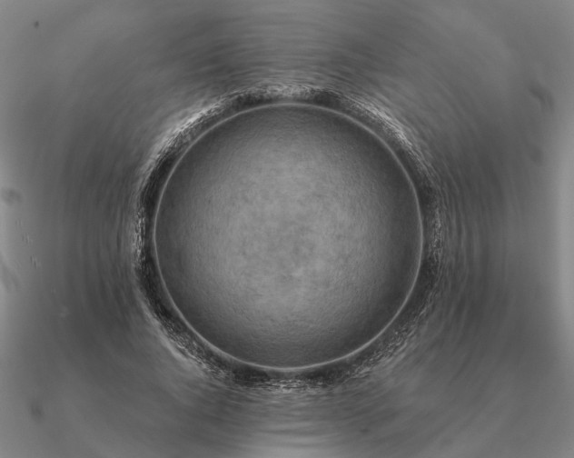 X0000090930736200708061602