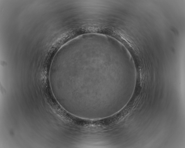 X0000090930737200708061603