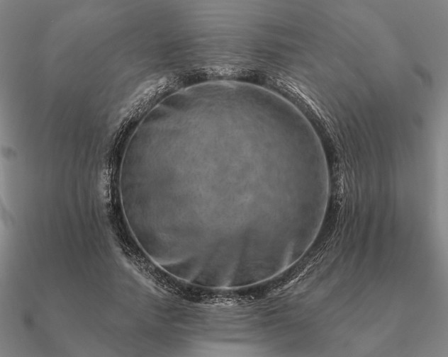 X0000090930738200708061603