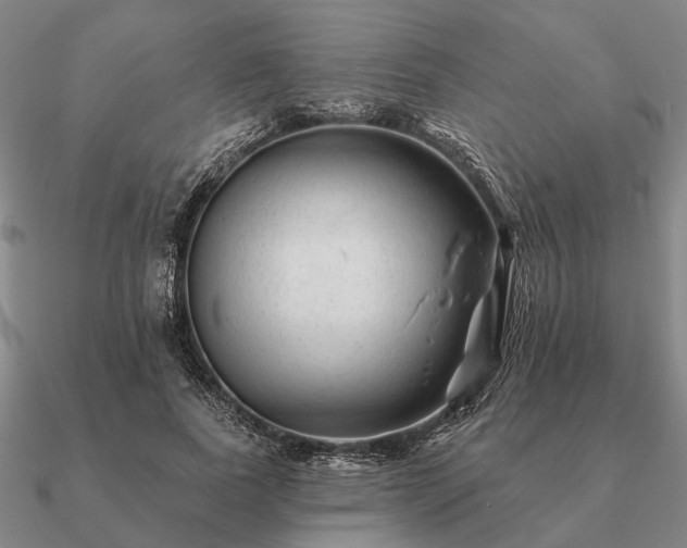 X0000090930739200708061603