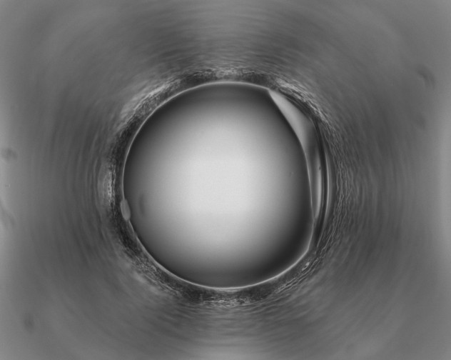 X0000090930740200708061603