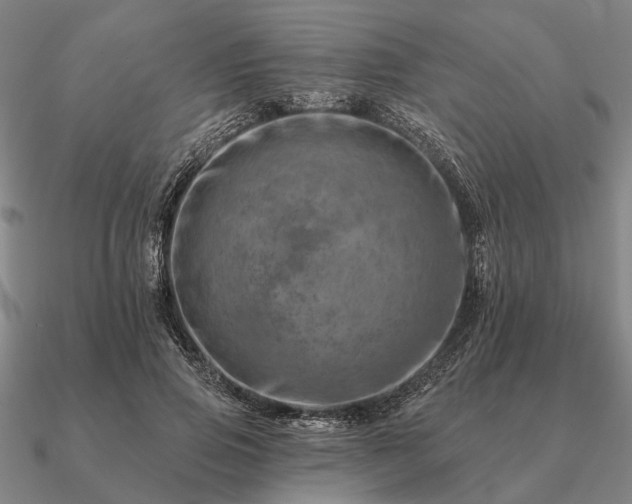 X0000090930741200708061603