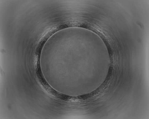 X0000090930742200708061603