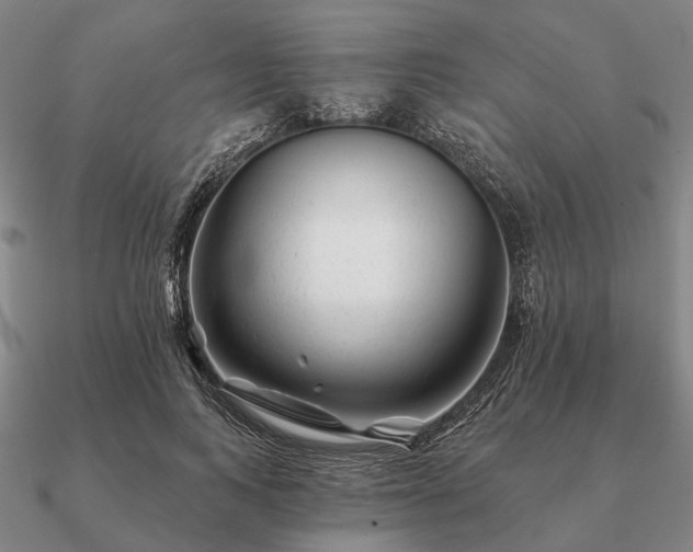 X0000090930743200708061603