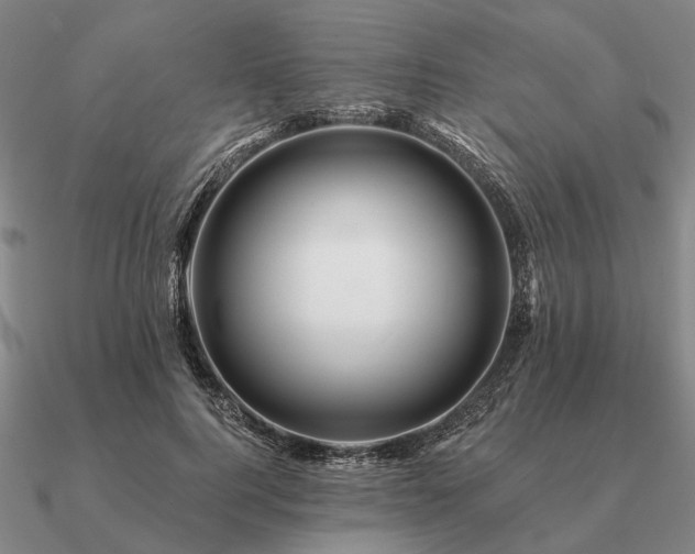 X0000090930744200708061603