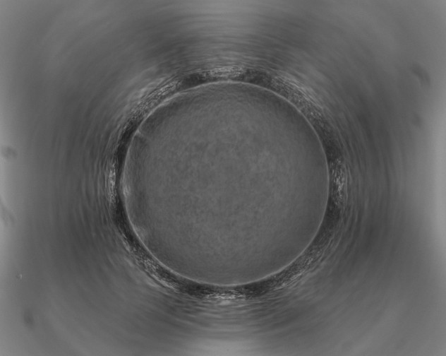 X0000090930745200708061603