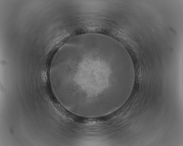 X0000090930746200708061603