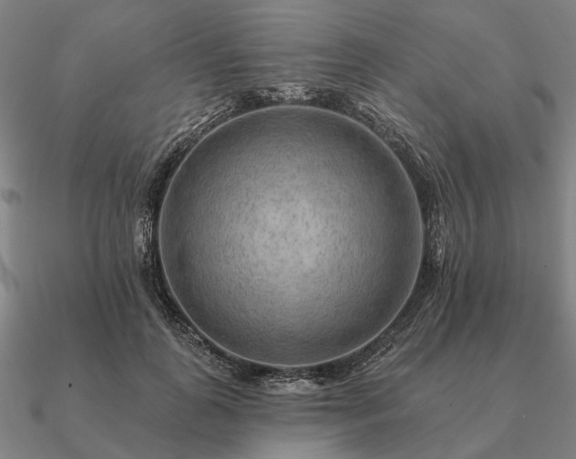 X0000090930747200708061603