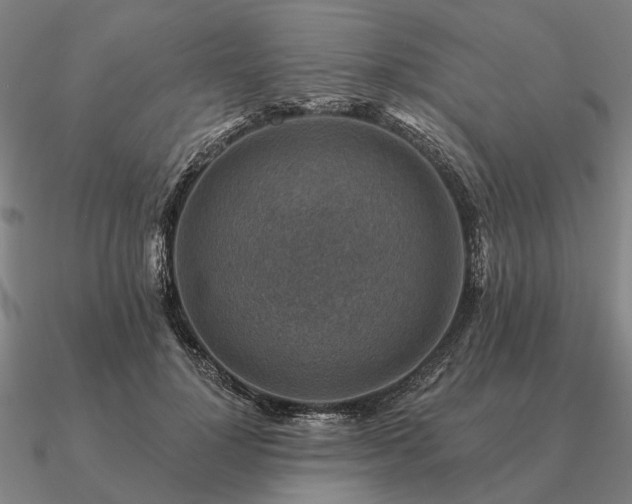 X0000090930748200708061603