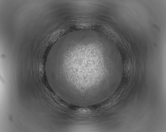 X0000090930749200708061603