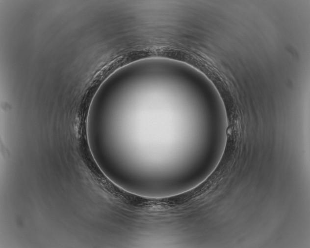 X0000090930750200708061603