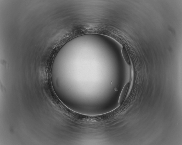 X0000090930751200708061603