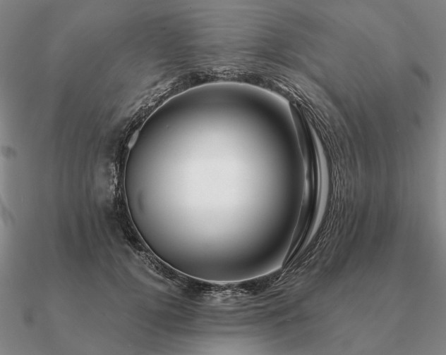 X0000090930752200708061603