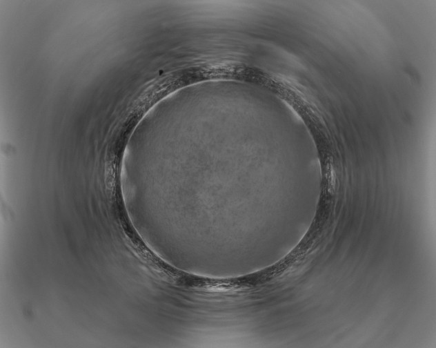 X0000090930753200708061603