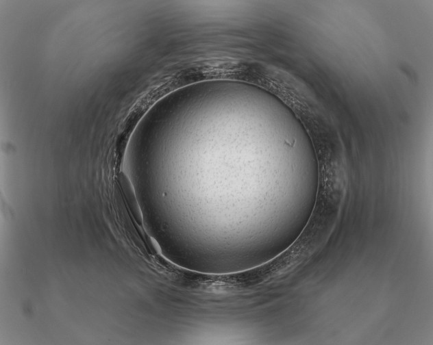 X0000090930755200708061603