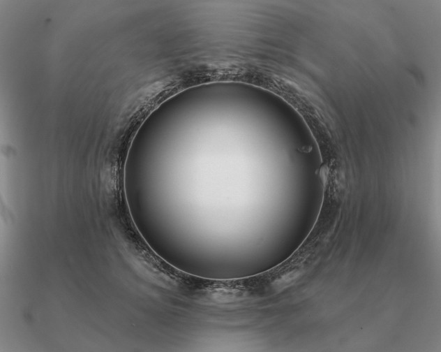 X0000090930756200708061603