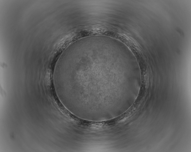 X0000090930757200708061603