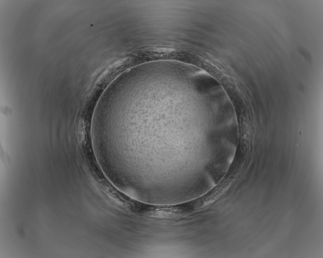 X0000090930758200708061603