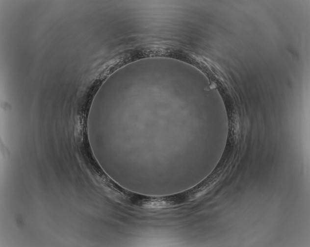 X0000090930759200708061603