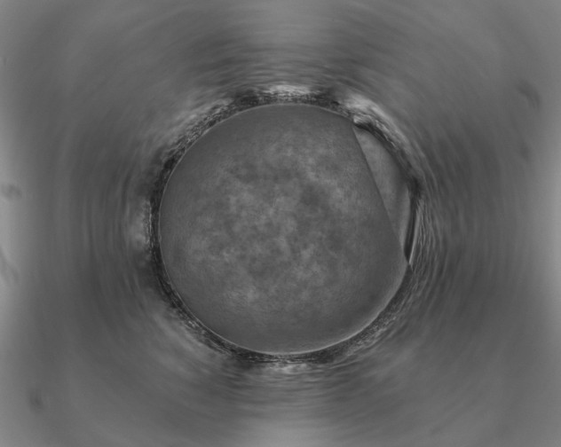 X0000090930760200708061603