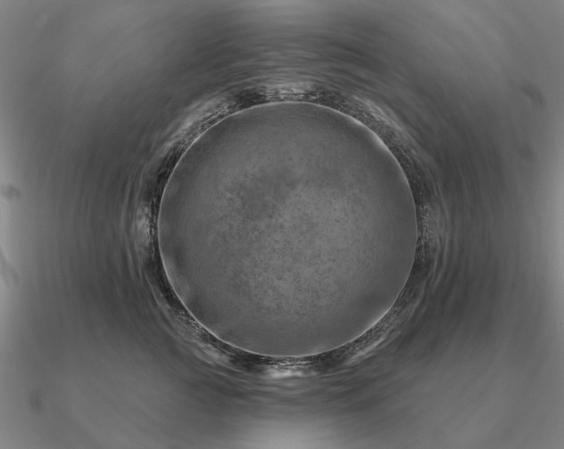 X0000090930761200708061603