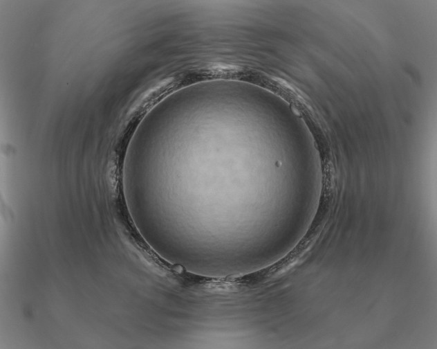 X0000090930762200708061603