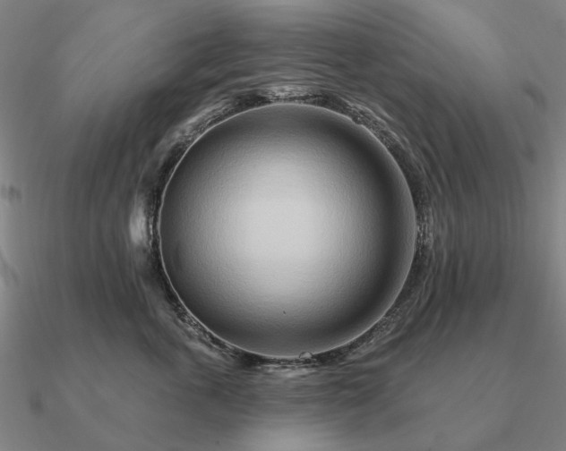 X0000090930763200708061603