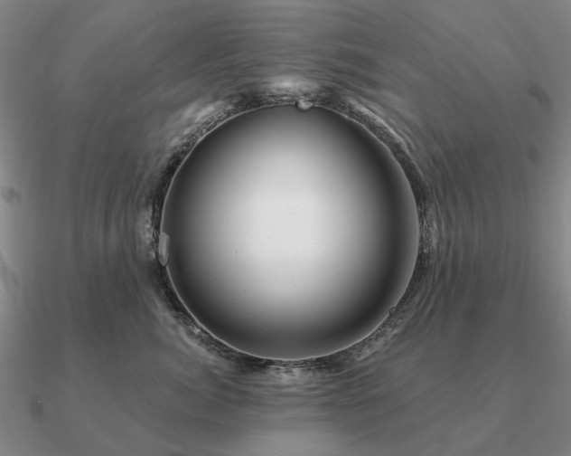 X0000090930764200708061603