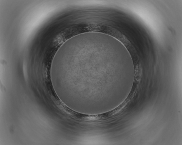 X0000090930765200708061603