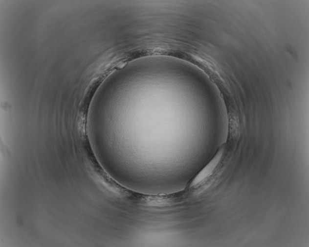 X0000090930766200708061603