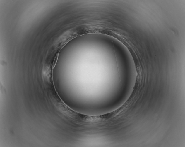 X0000090930767200708061603