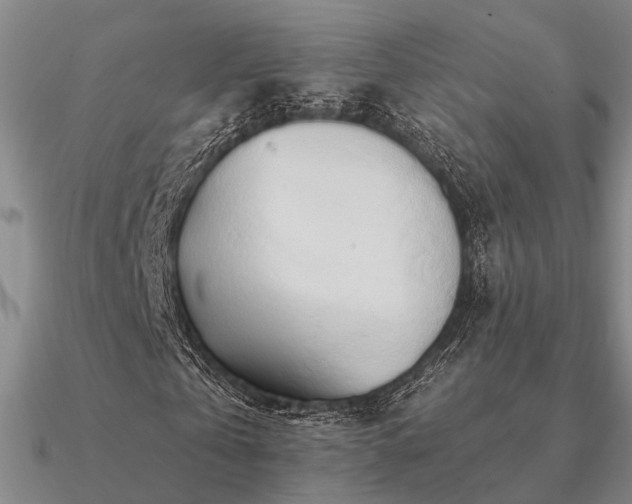 X0000090930769200708061602