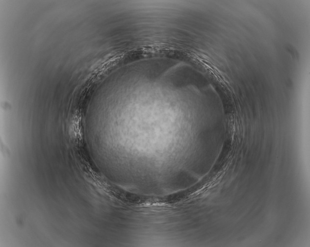 X0000090930770200708061602