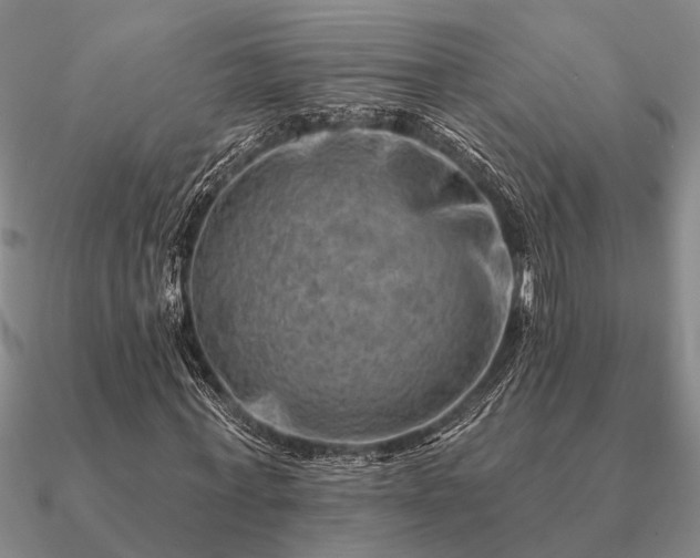 X0000090930771200708061602