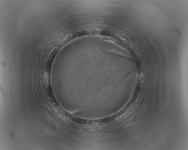 X0000090930772200708061602