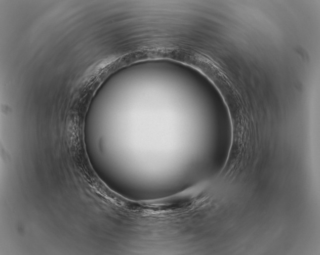 X0000090930773200708061602